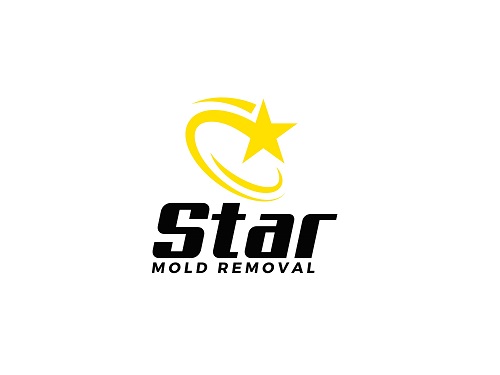 Atlanta Star Mold Removal